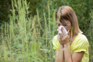 One young woman in nature among ragweed plant has a problem with pollen allergy at summer. This plant is very aggressive and invasive.
